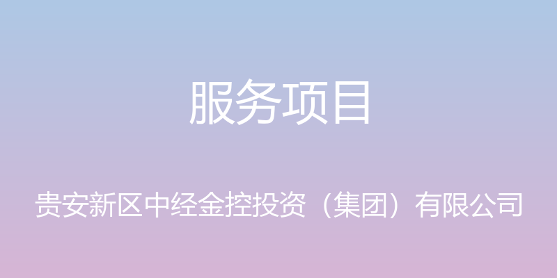 服务项目 - 贵安新区中经金控投资（集团）有限公司