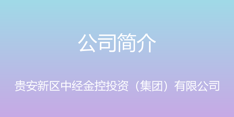 公司简介 - 贵安新区中经金控投资（集团）有限公司