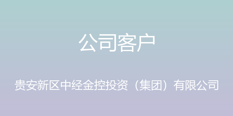 公司客户 - 贵安新区中经金控投资（集团）有限公司