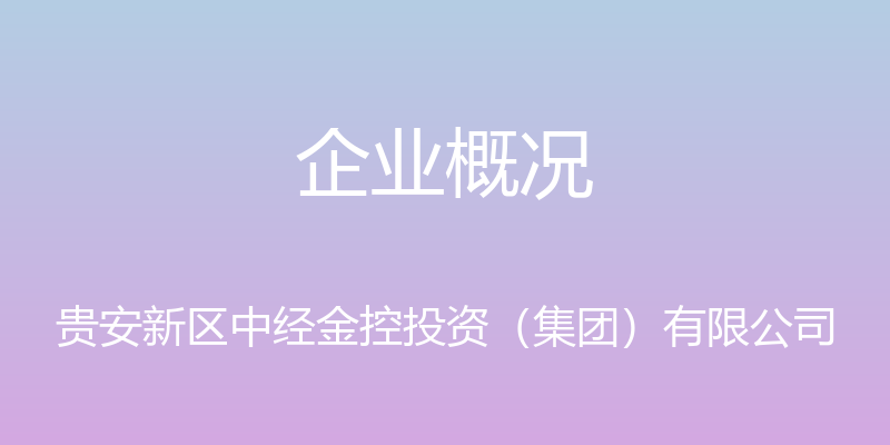 企业概况 - 贵安新区中经金控投资（集团）有限公司