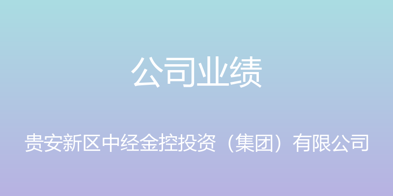 公司业绩 - 贵安新区中经金控投资（集团）有限公司